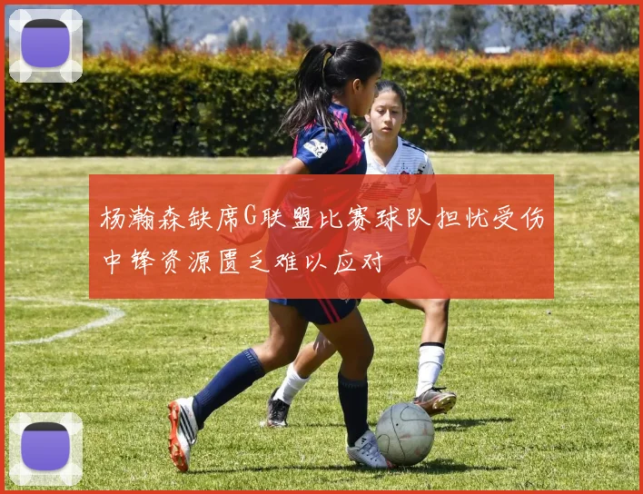 杨瀚森缺席G联盟比赛球队担忧受伤中锋资源匮乏难以应对