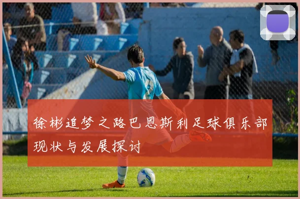 徐彬追梦之路巴恩斯利足球俱乐部现状与发展探讨