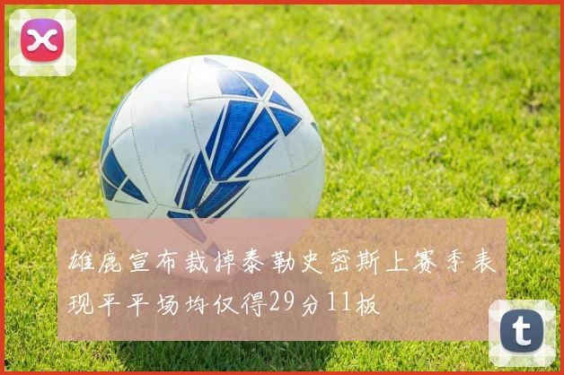 雄鹿宣布裁掉泰勒史密斯上赛季表现平平场均仅得29分11板