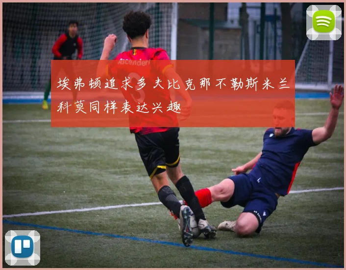 埃弗顿追求多夫比克那不勒斯米兰科莫同样表达兴趣