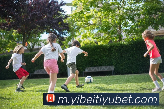 易倍体育APP 高清赛事图